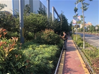 �����ӄӑB(t��i)��ȫ�T���c����푾Gֲ�������l(w��i)��(zh��n)