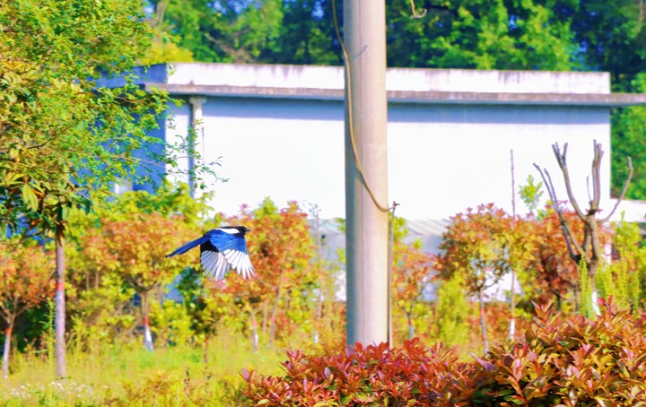 ��ͩ���¡��P�ˡ���