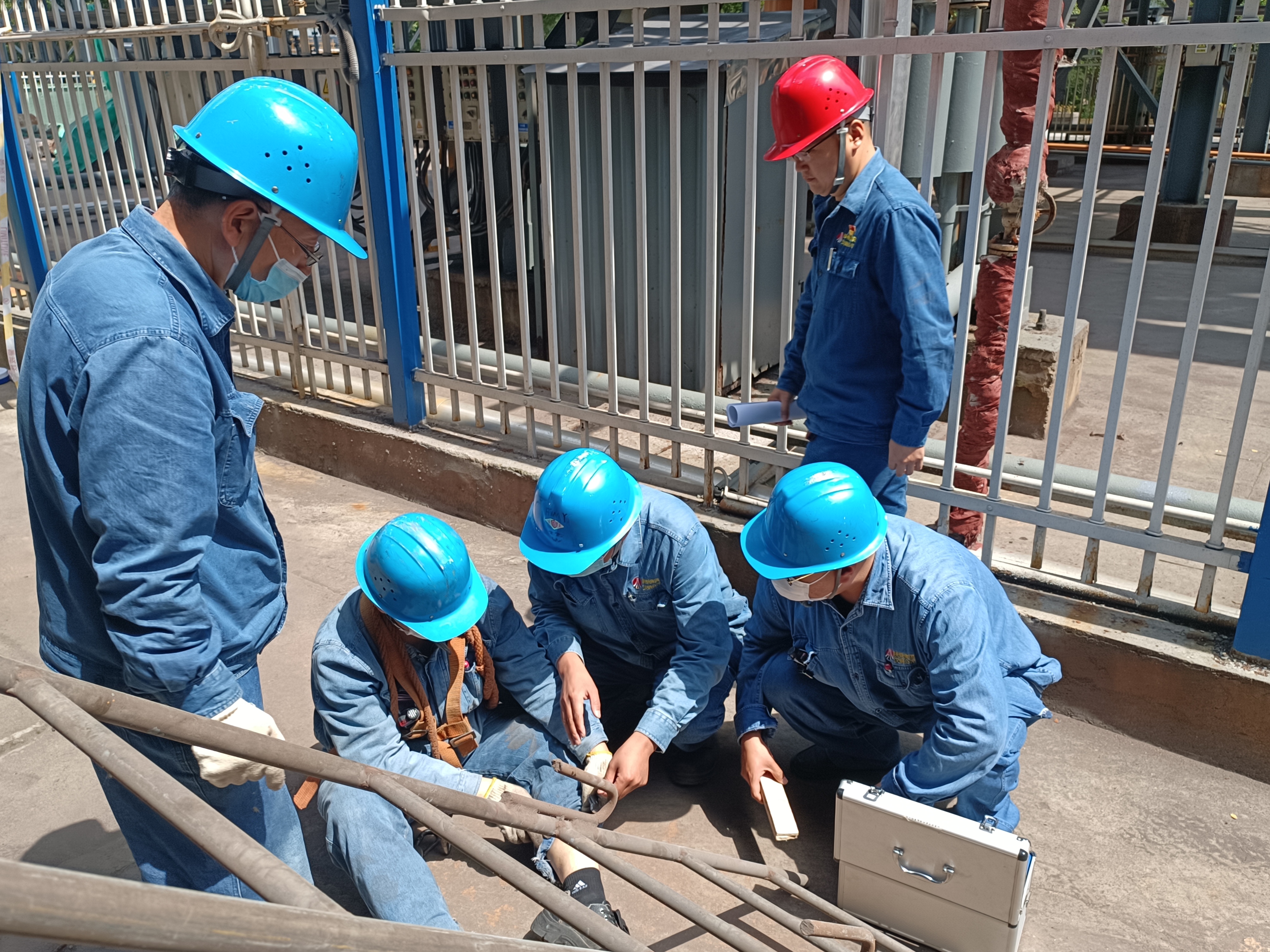 �����Ʉš����Ƒ�(y��ng)�������?c��)롰�Gɫ��ͨ��