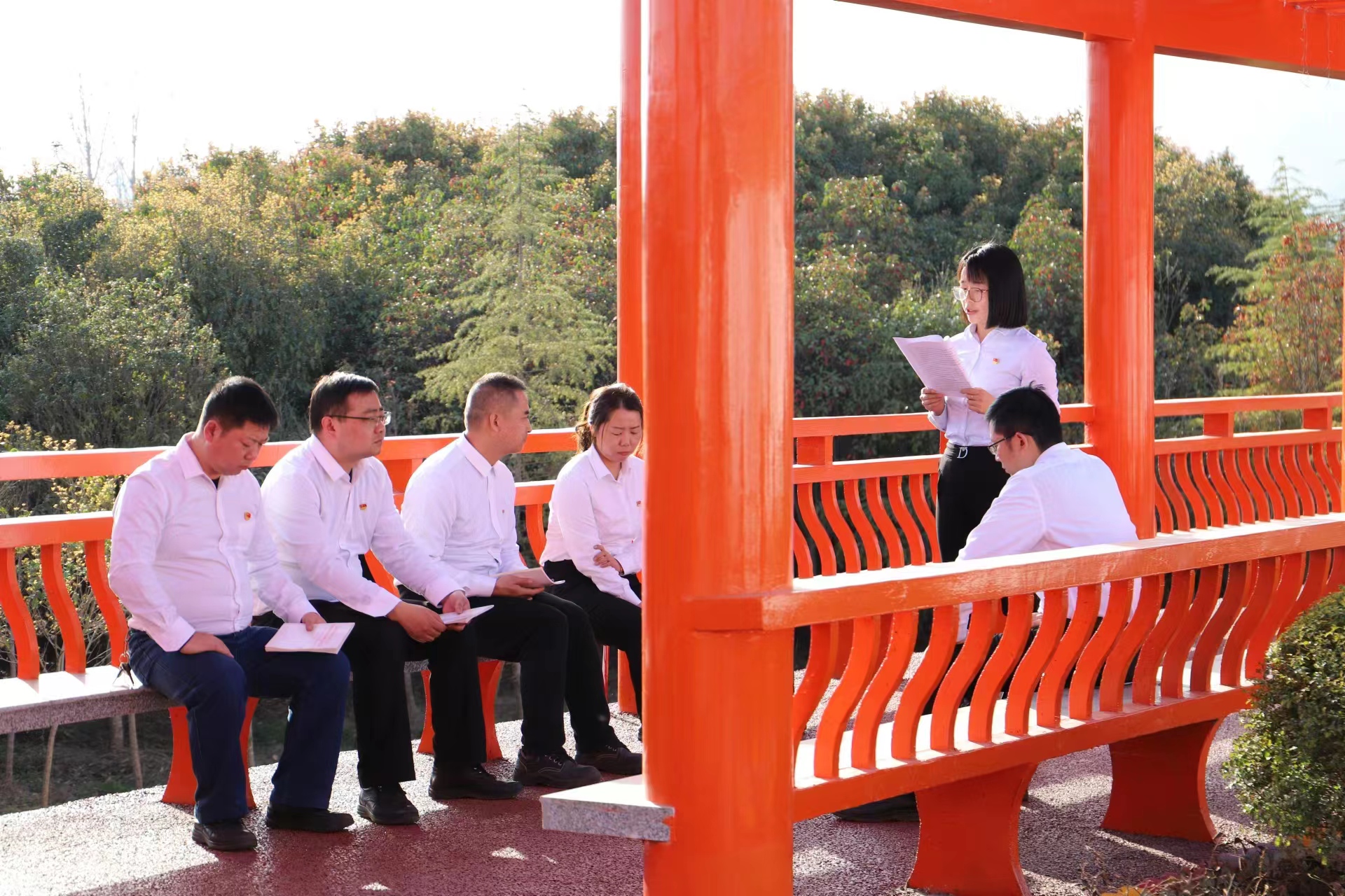 ��ζ���ײ͡���׌���}������������ζ��