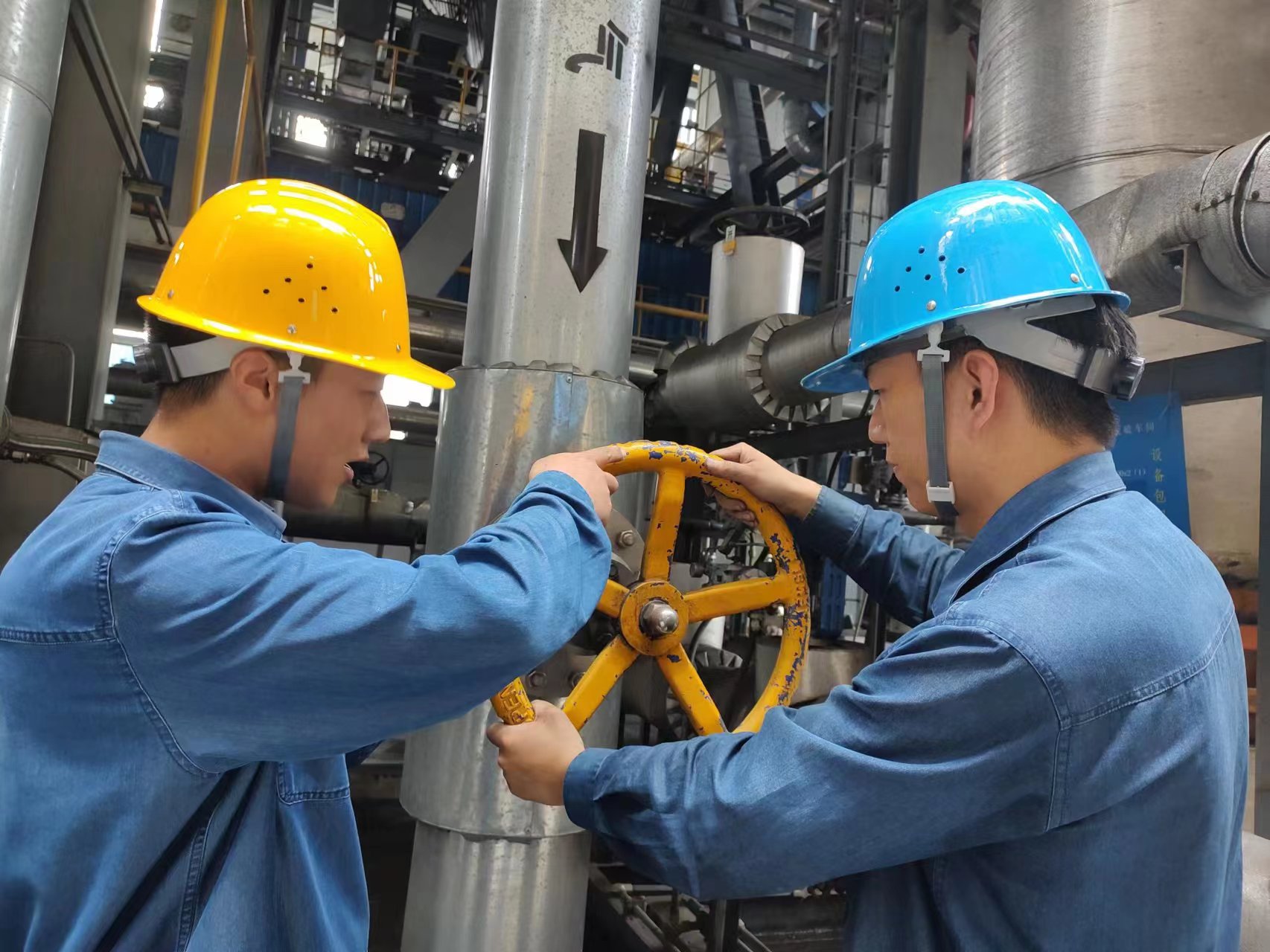 ������ͽ����׌�˲ų��ĸ���