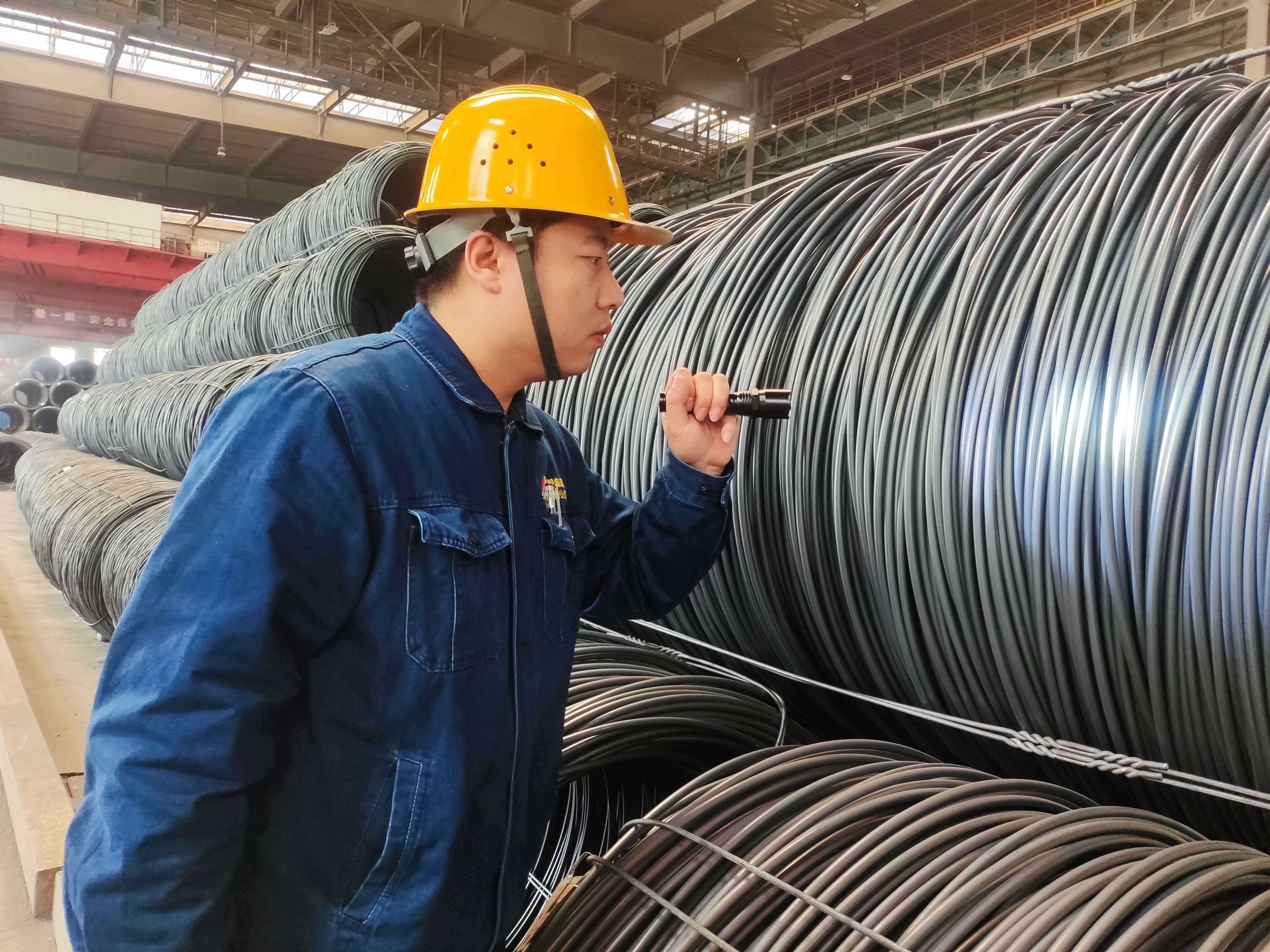 ���o�z����׌������L�Ŵ�