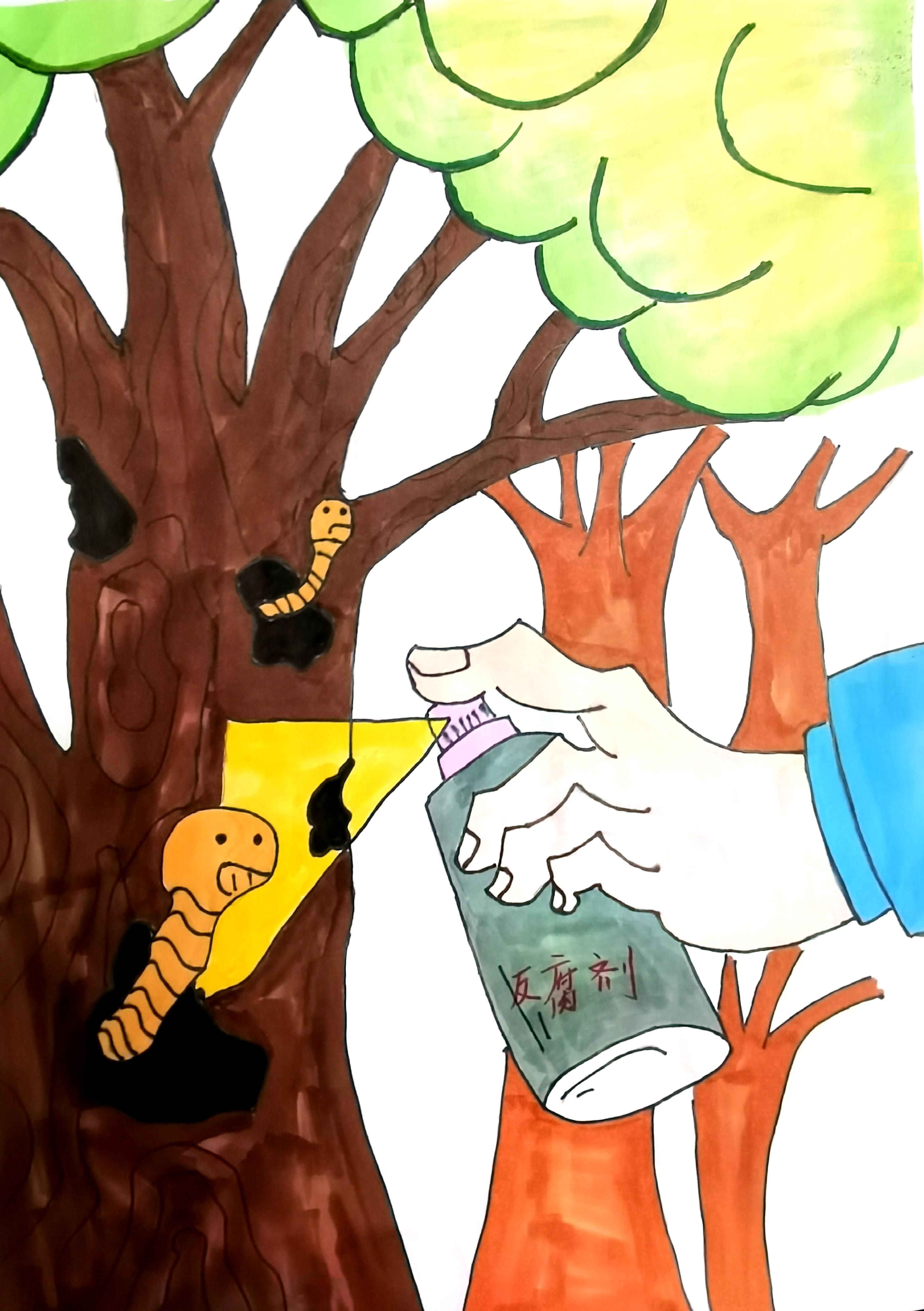 ����(hu��)�f(shu��)�������L(f��ng)����