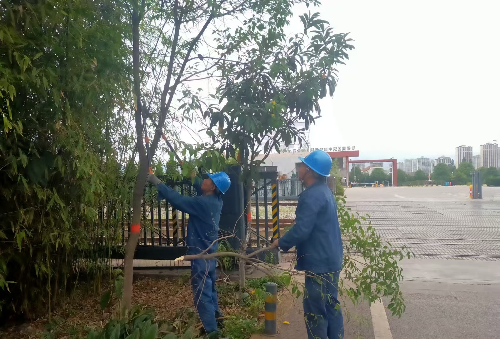 ��؟�Ώ���ͨ  ���o�Gɫ䓳�