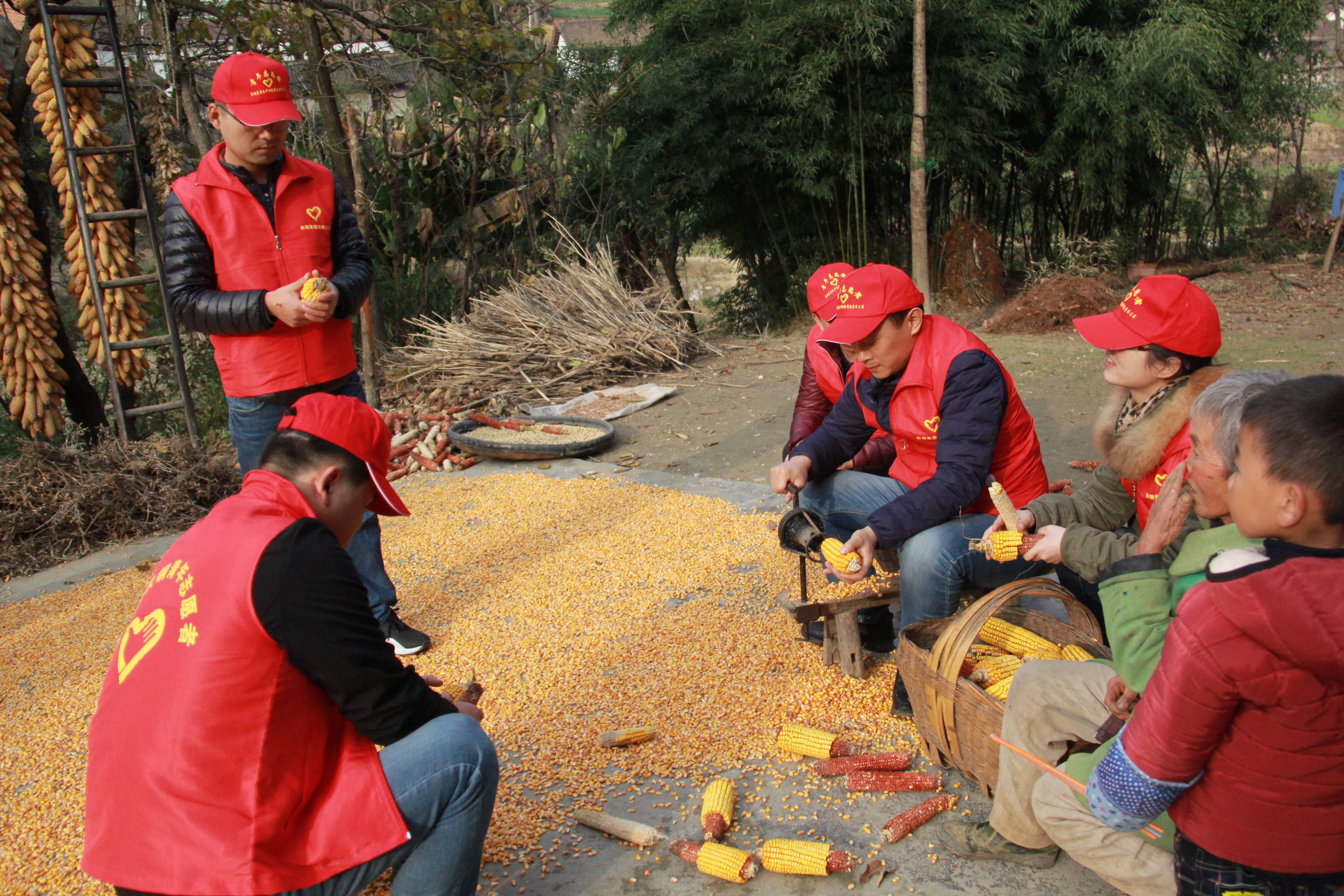 �䓝h���������̖(h��o)�_չ���ഺ��ؚ ����ů�������(d��ng)