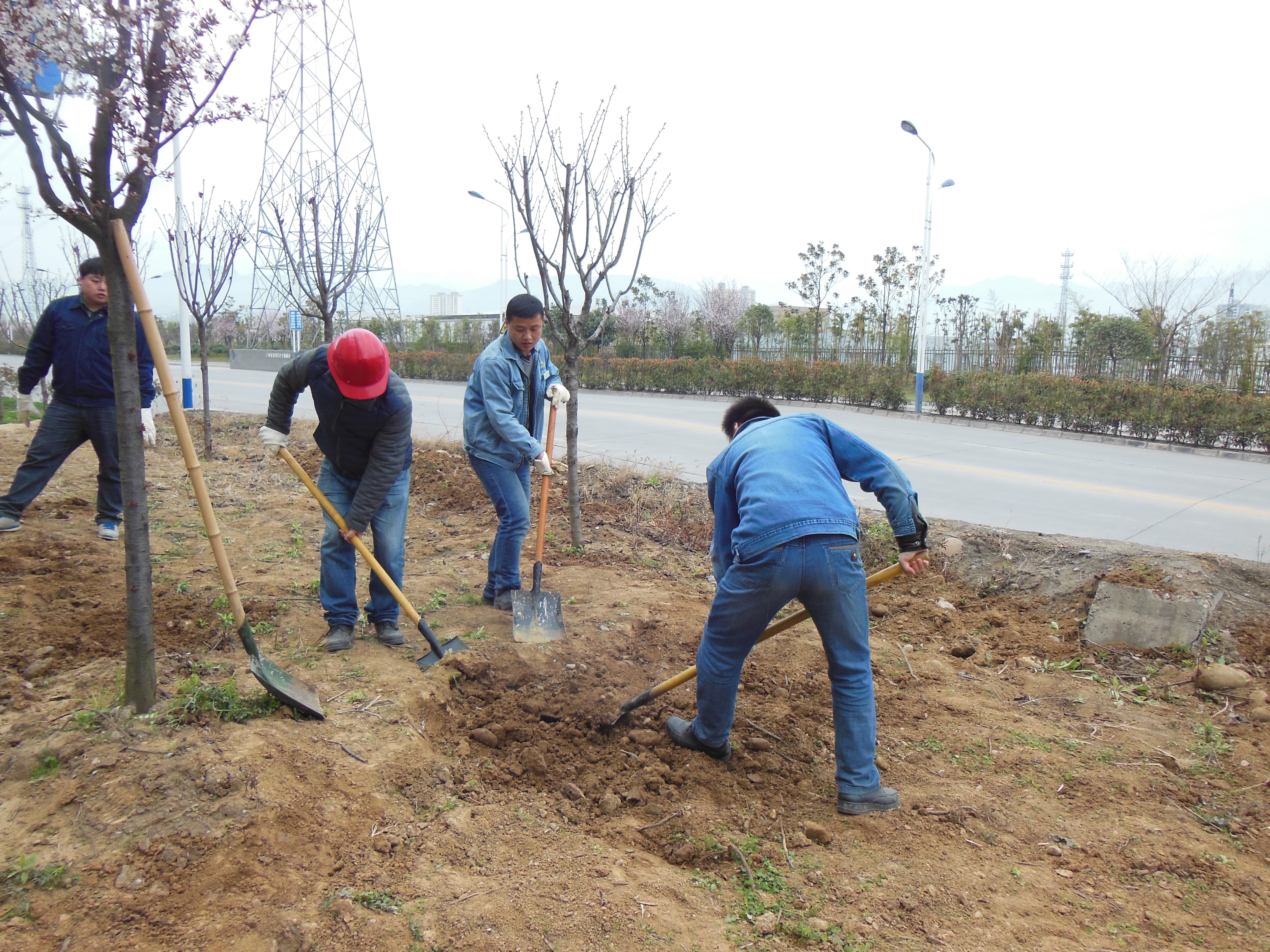 �������h䓡����������hί�Ԍ�(sh��)�H�Є�(d��ng)�䌍(sh��)�������h䓡���(chu��ng)��