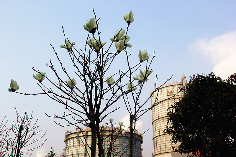 �������h䓡���������һ�𵽝h�̤���^������