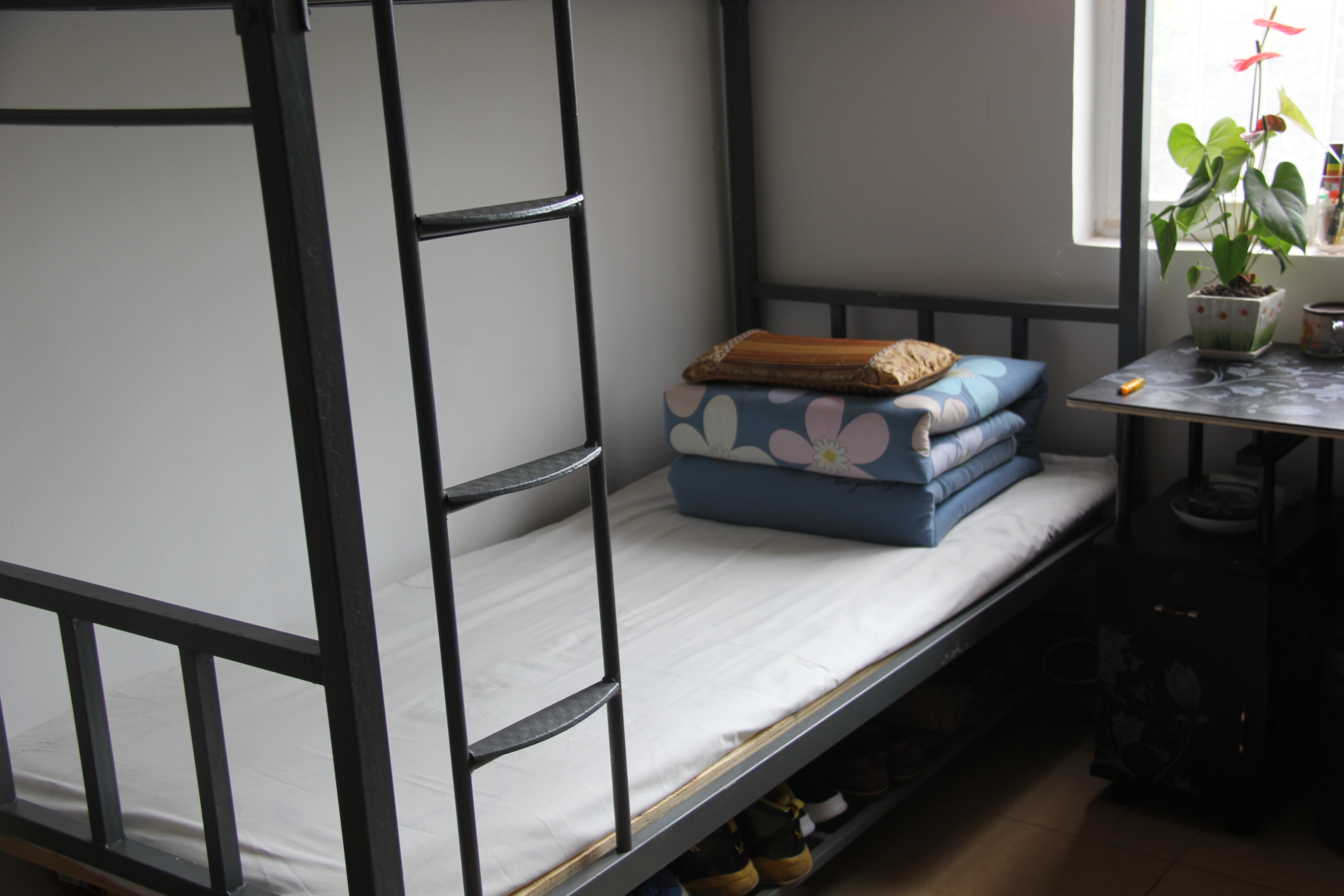 �����ӄ�(d��ng)�B(t��i)�����κ��ڲ�2019���ϰ��ꡰ�Ӱ����ᡱ�u�Ȼ��(d��ng)�A�M�Y(ji��)��