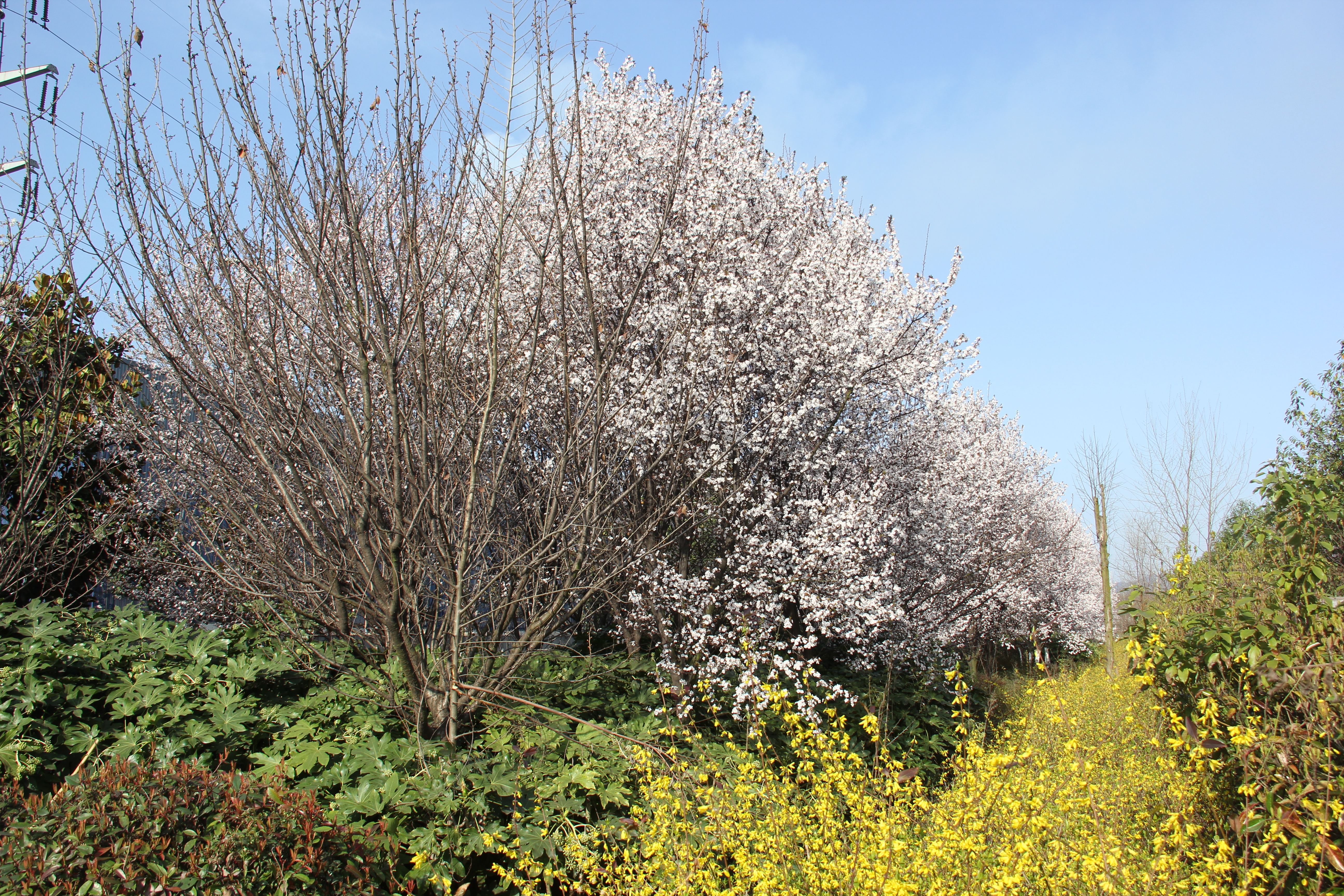 �������h䓡��������ݴ����  䓳����´��箋