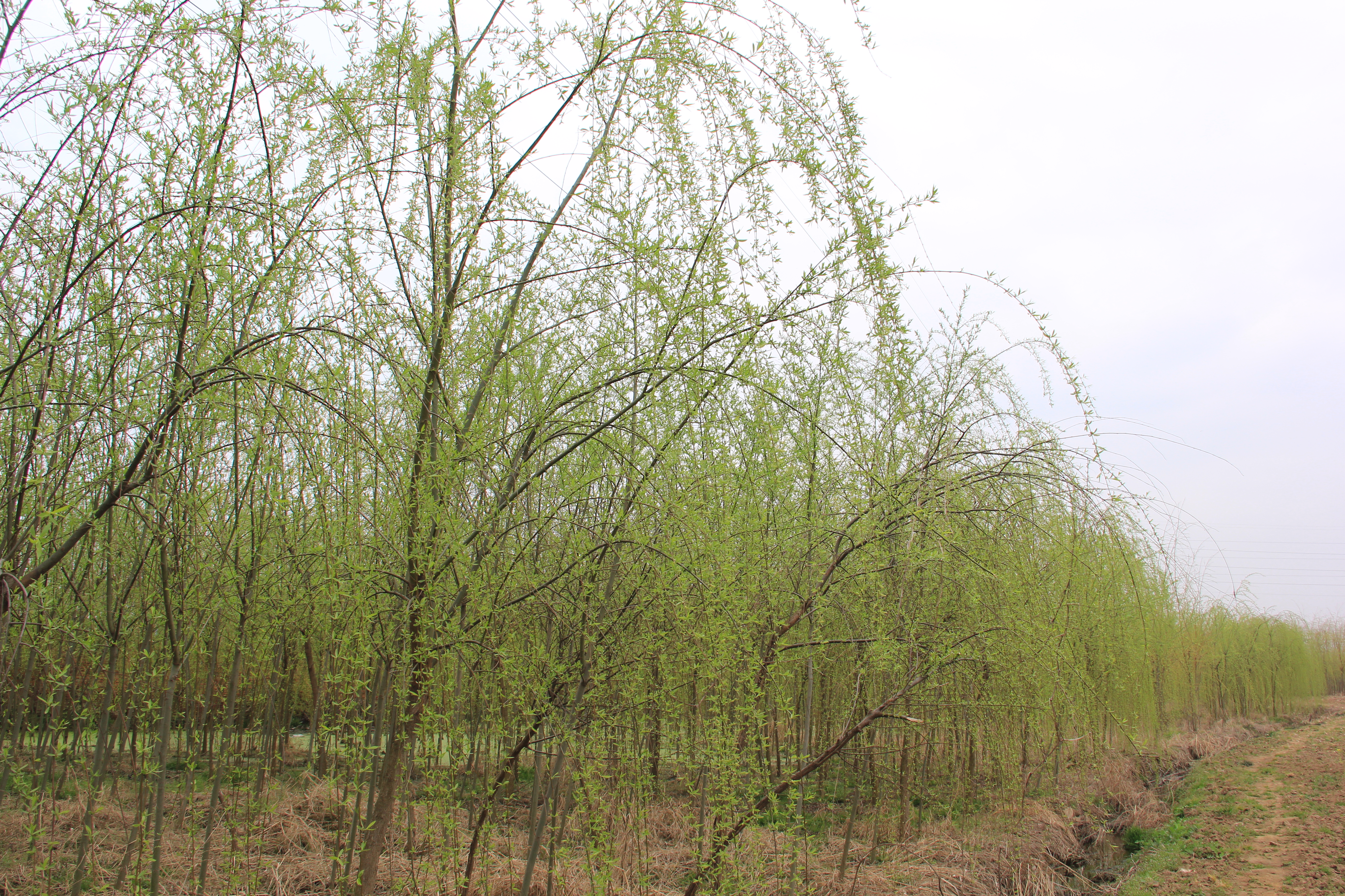 �������h䓡��������ݴ����  䓳����´��箋