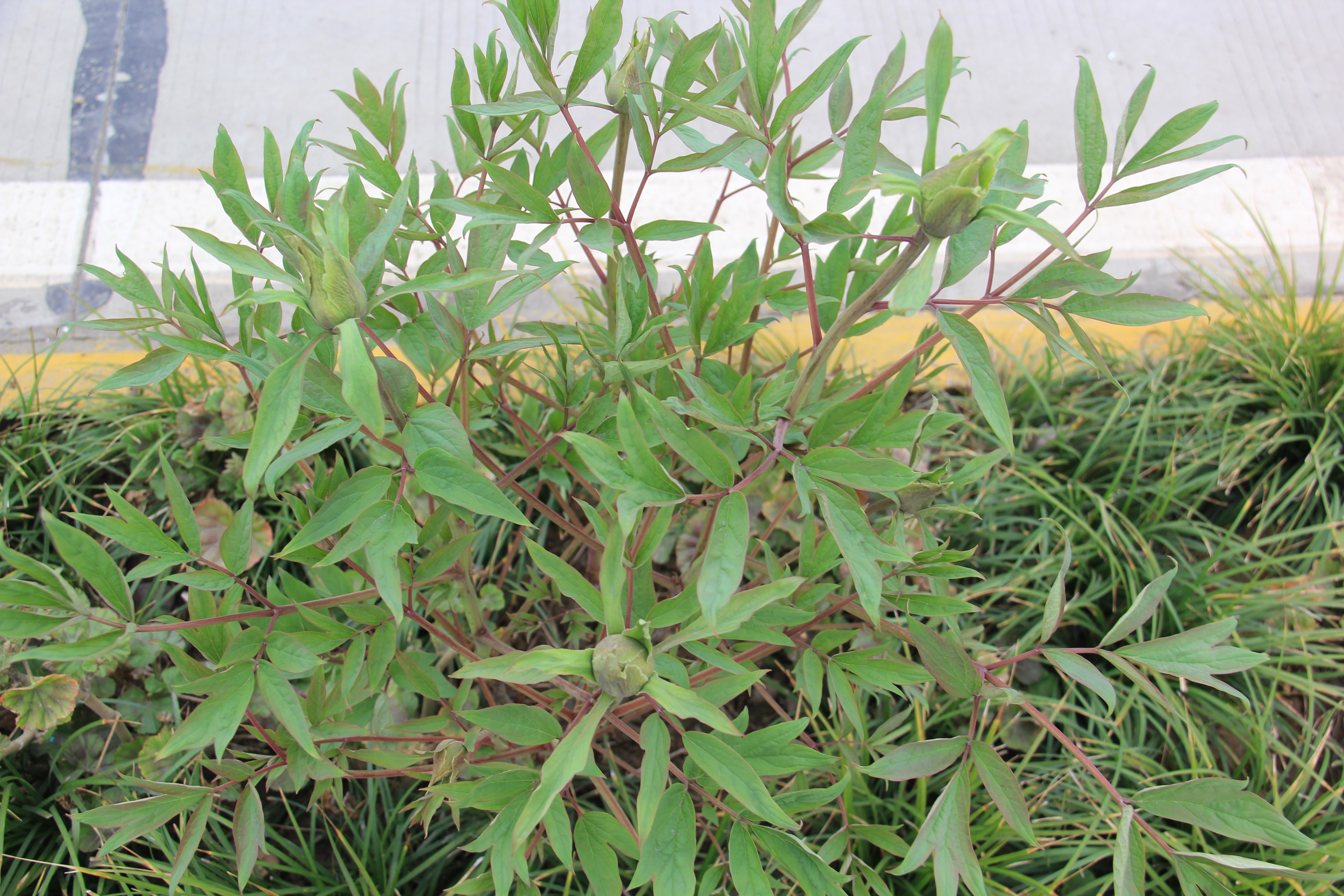 �������h䓡��������ݴ����  䓳����´��箋