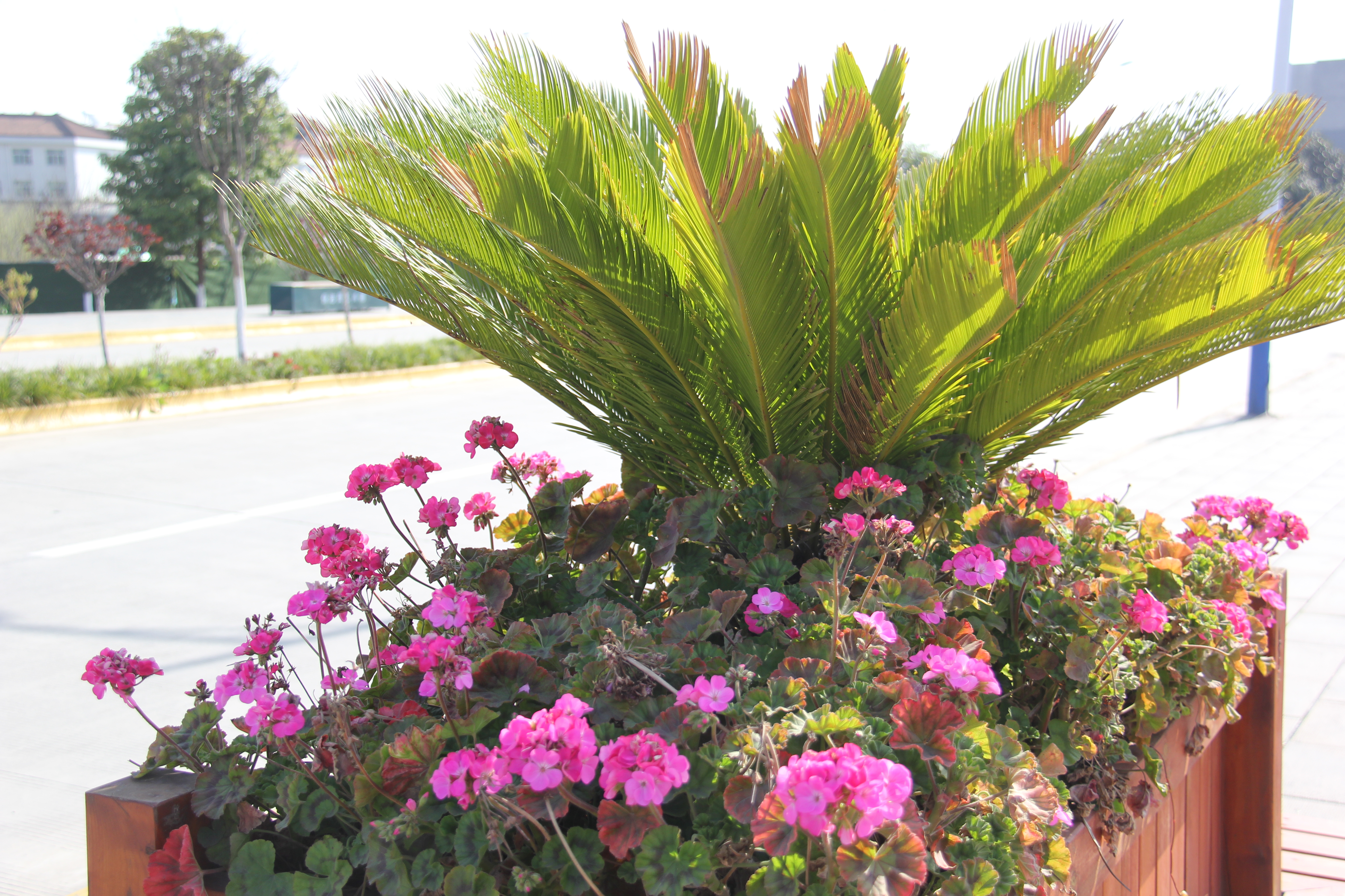 �������h䓡��������ݴ����  䓳����´��箋