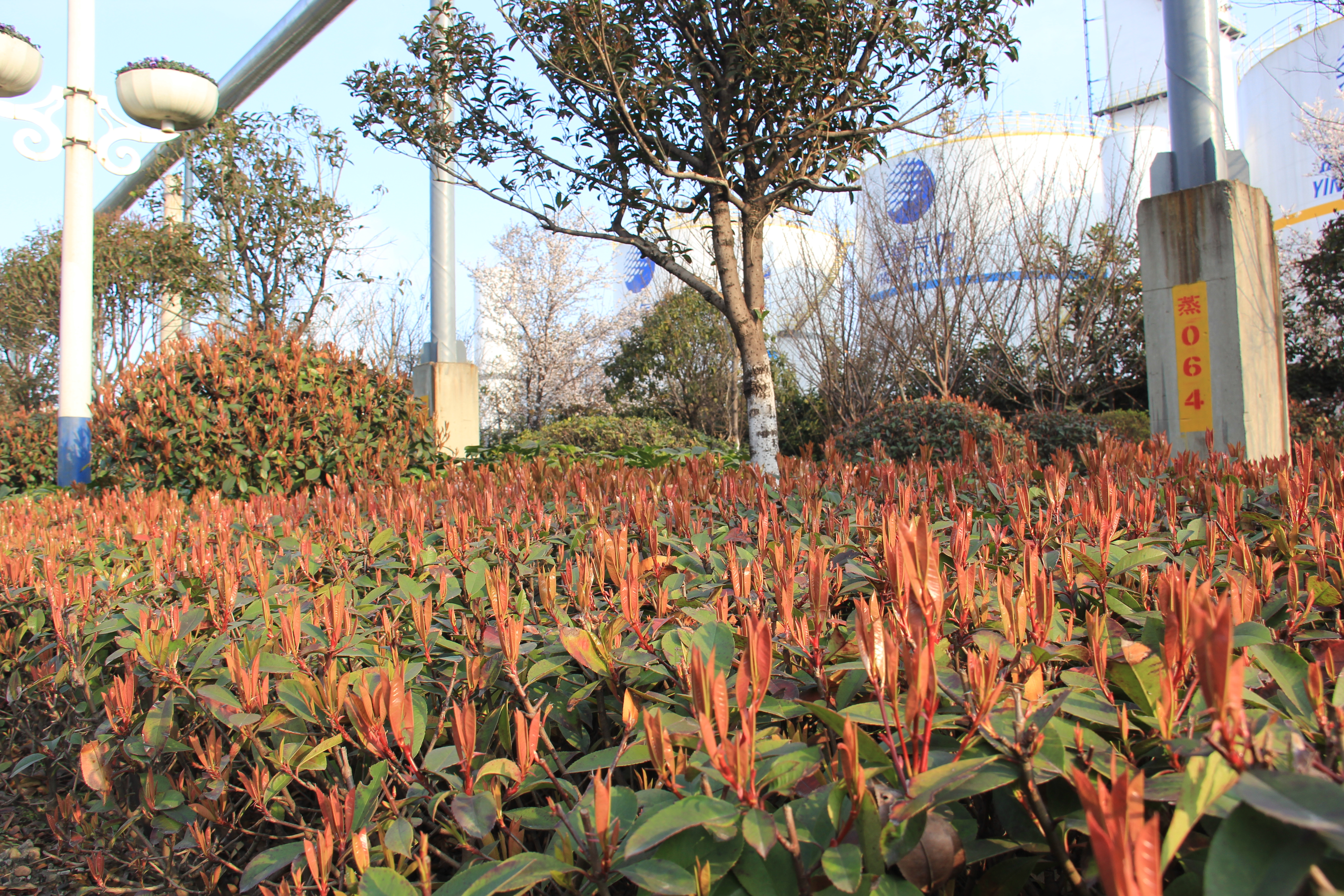 �������h䓡��������ݴ����  䓳����´��箋