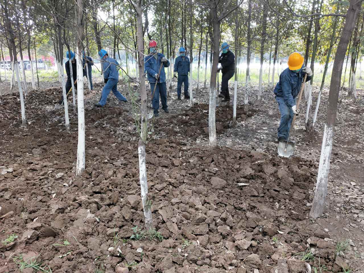 �������h䓡���˾�����G�����������_չ�����ݱ