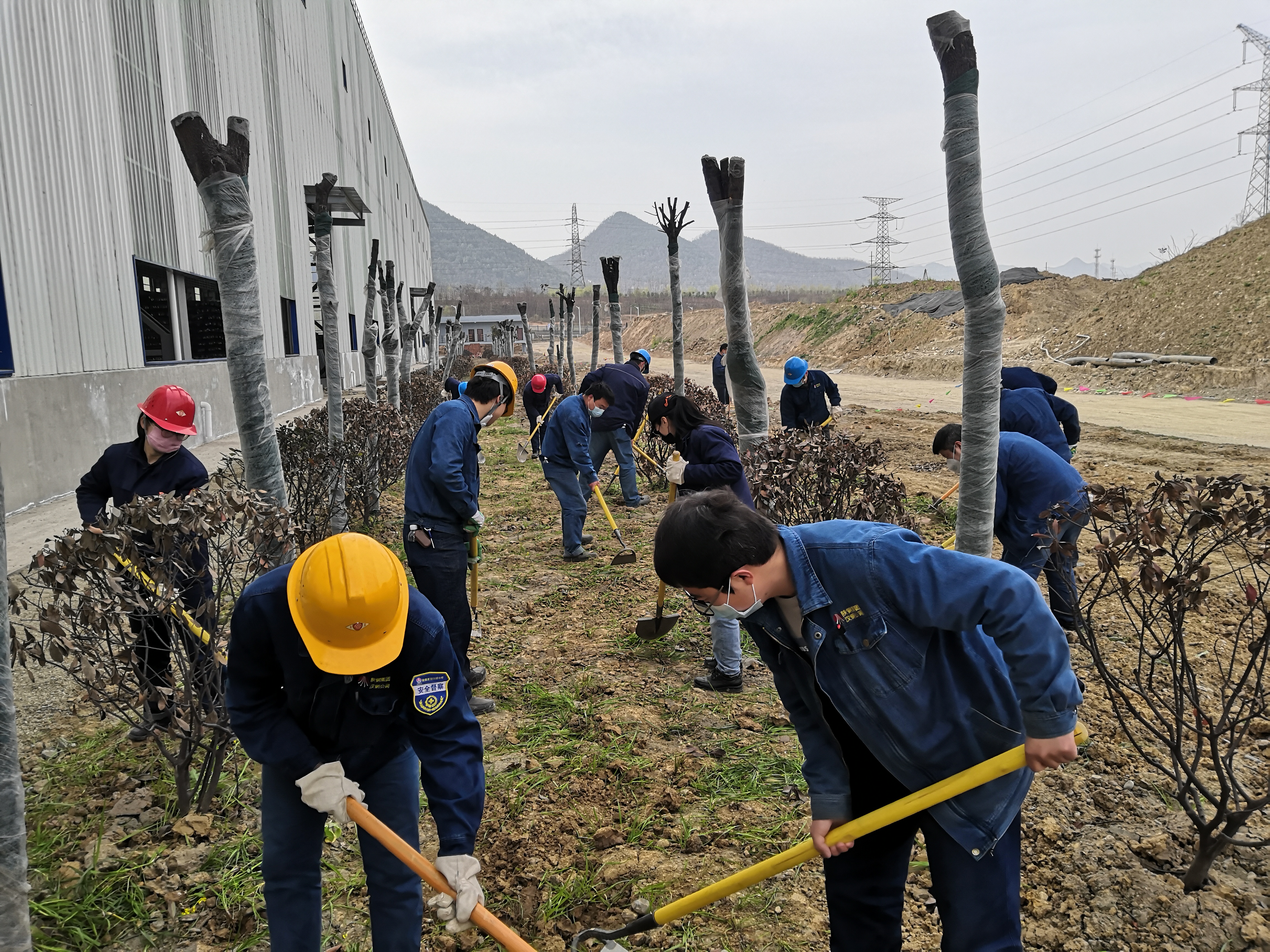 �������h䓡��������ķe�O�_չ ��ֲ�九(ji��)�����}���(d��ng)