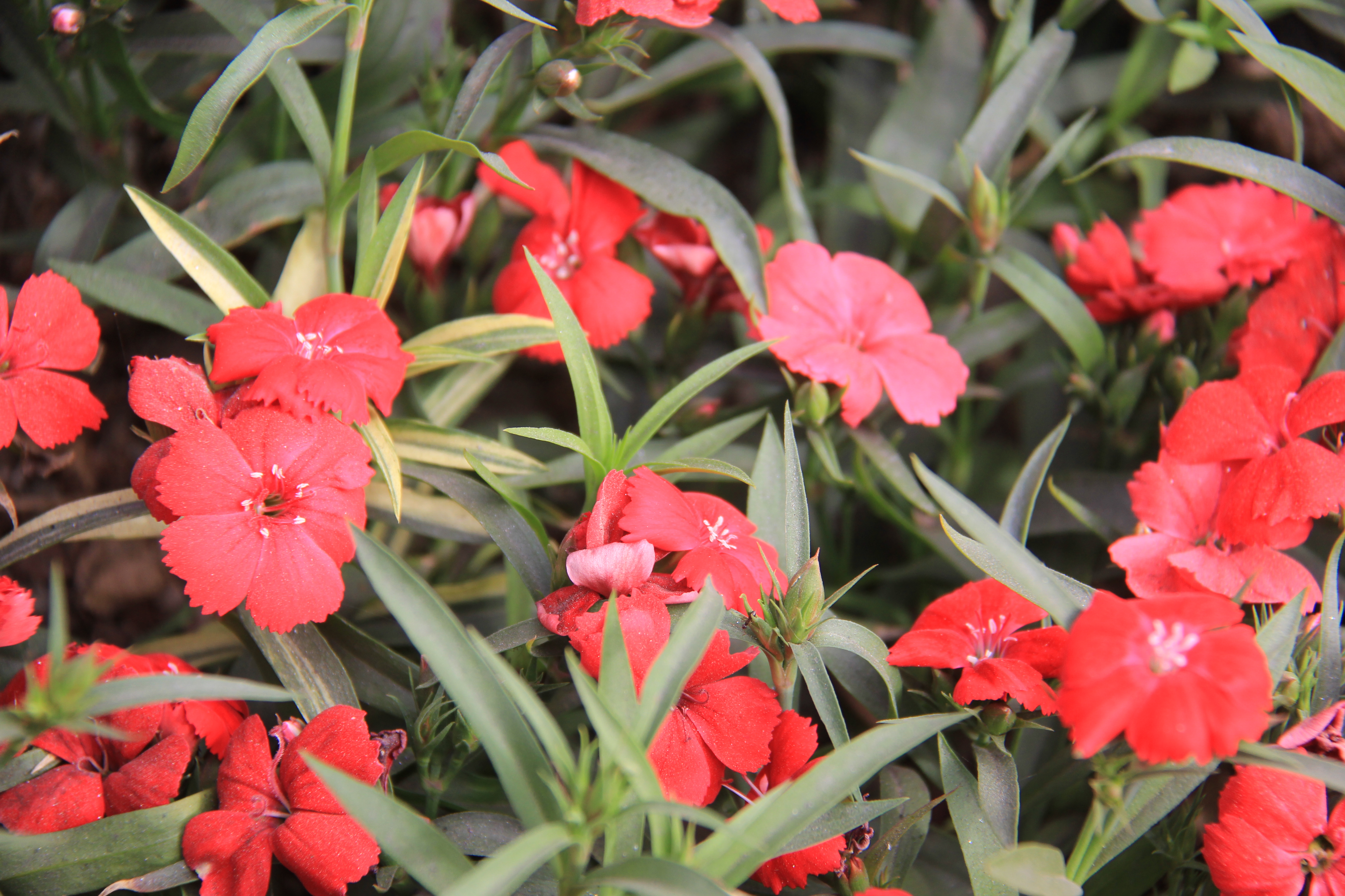 �������h䓡��h�̤���p���D�b