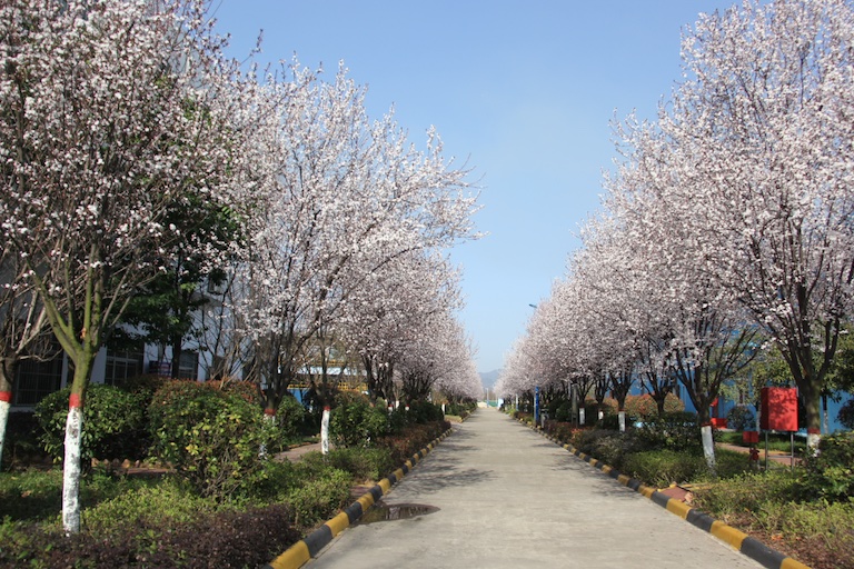 �������h䓡��ù�(ji��)�ܭh(hu��n)���c(di��n)���hˮ֮�I�������F(xi��n)�����@��