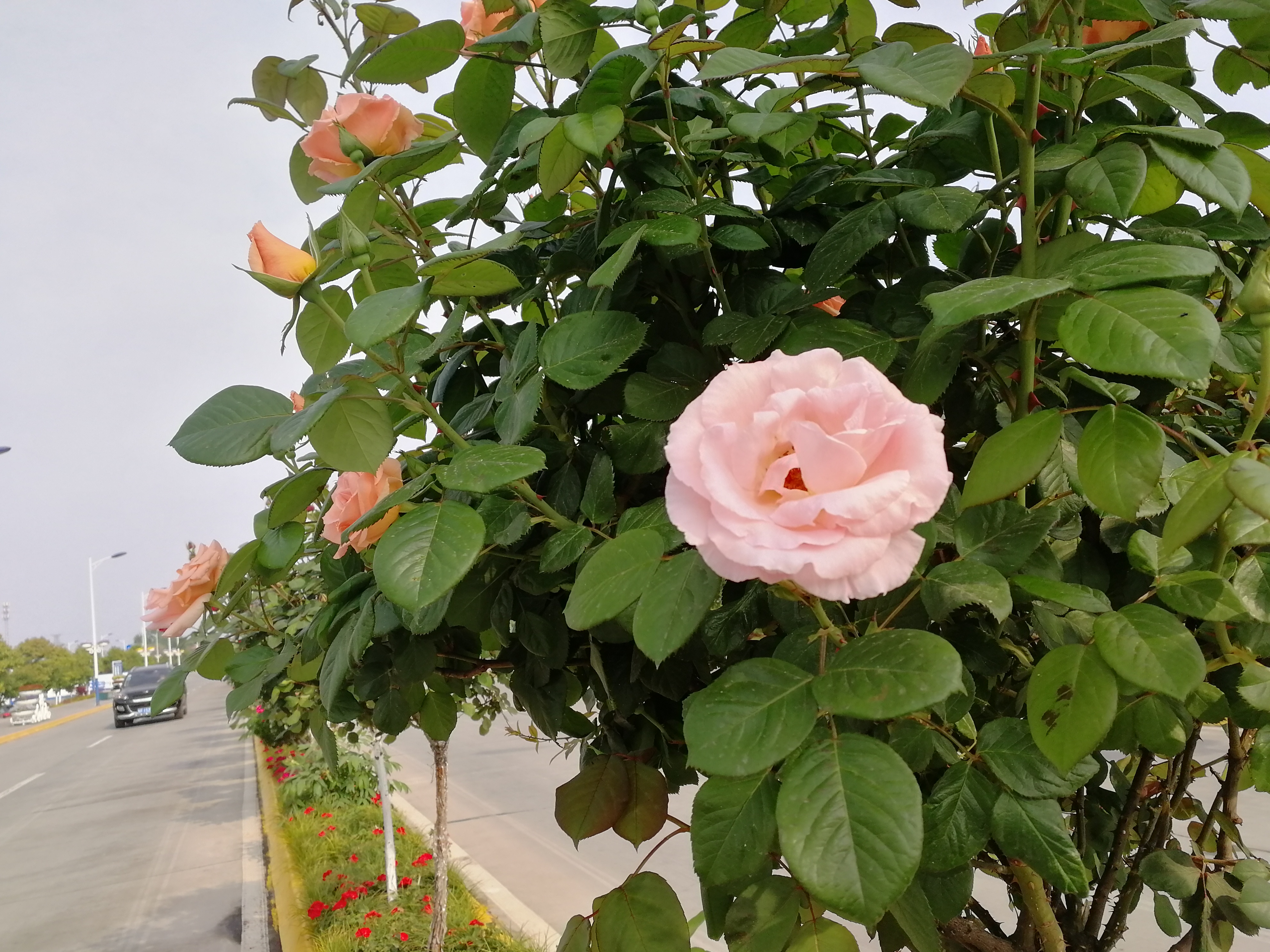 �������h䓡��p�ߗU�¼����������h�