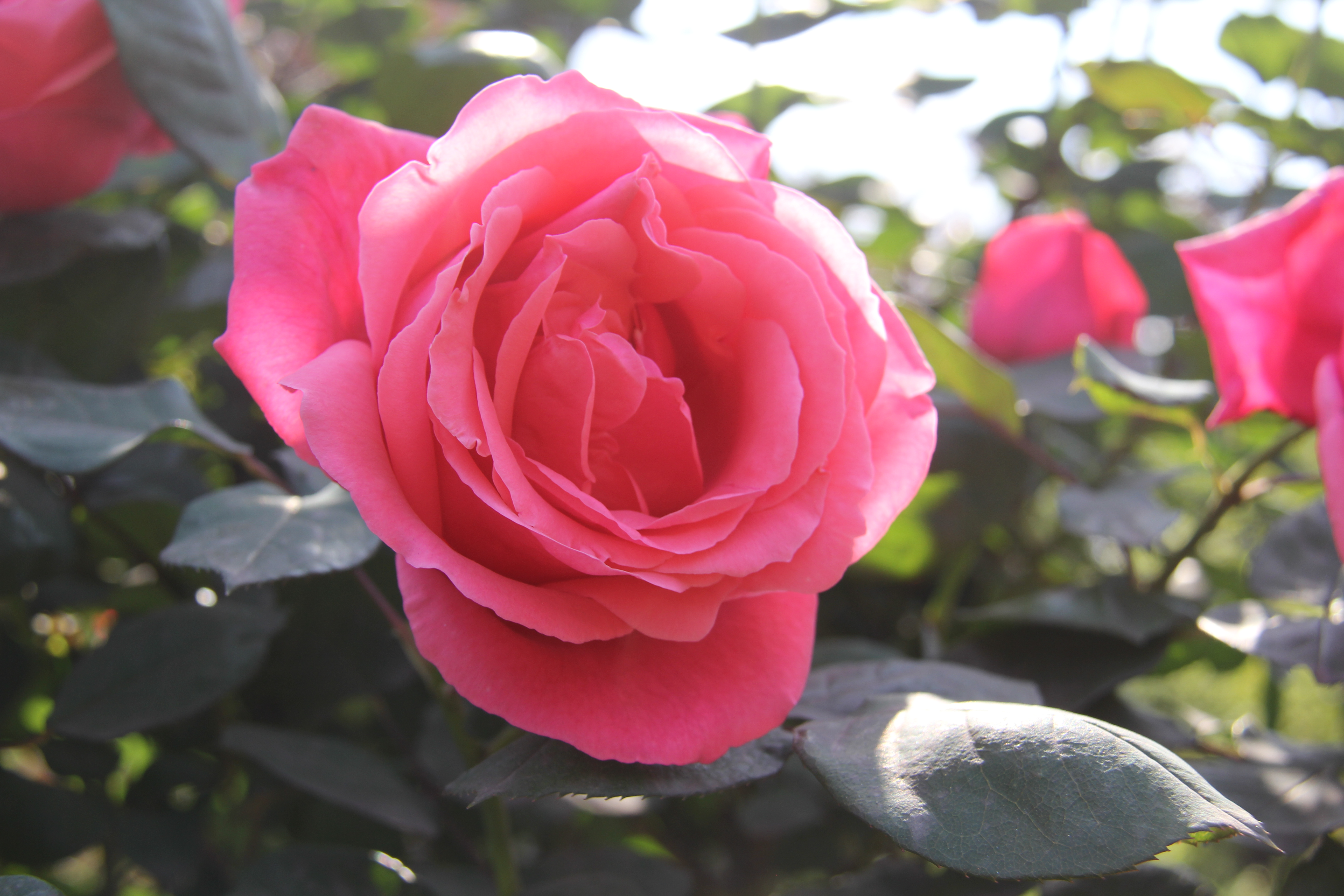 �������h䓡������h�������