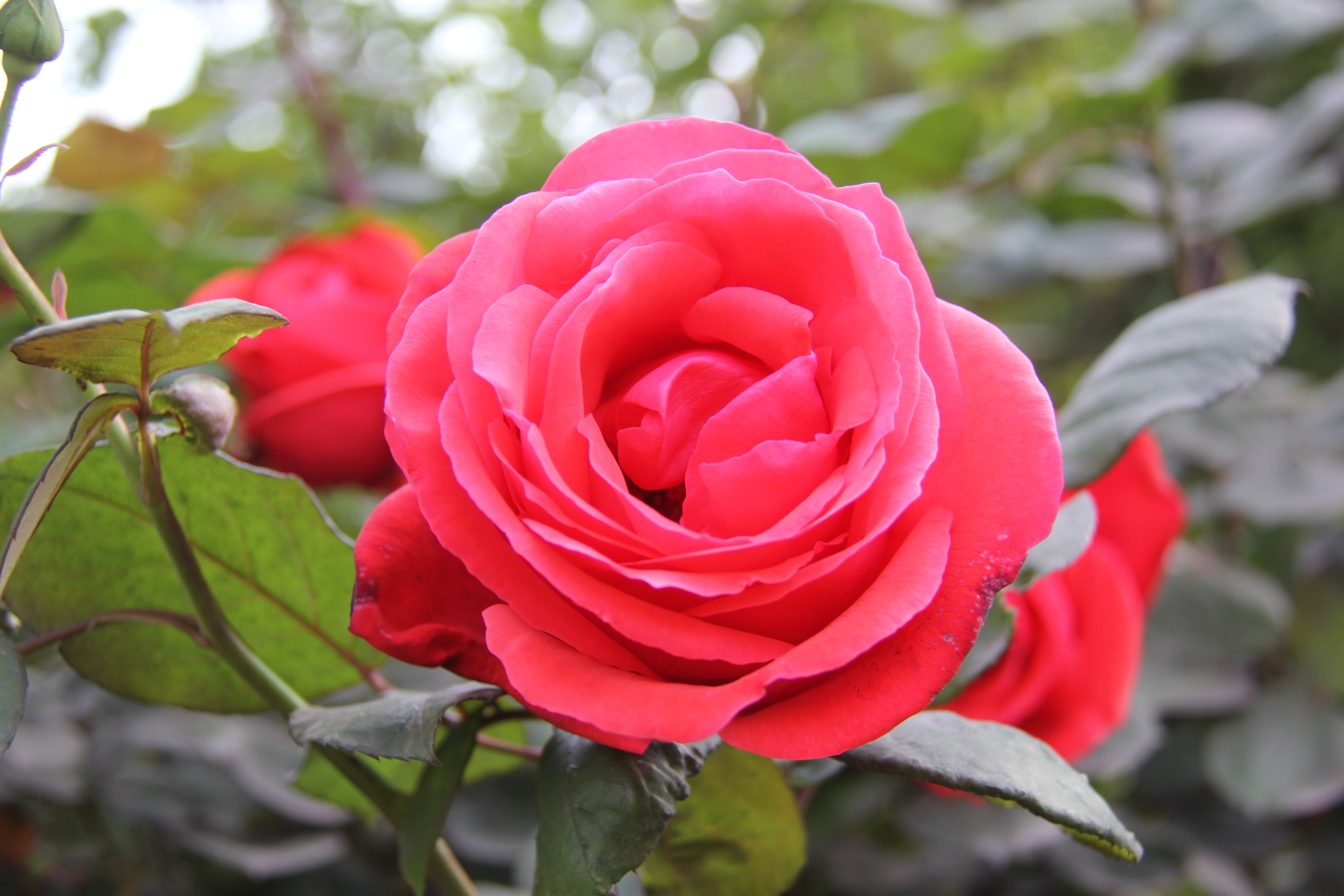 �������h䓡������h�������