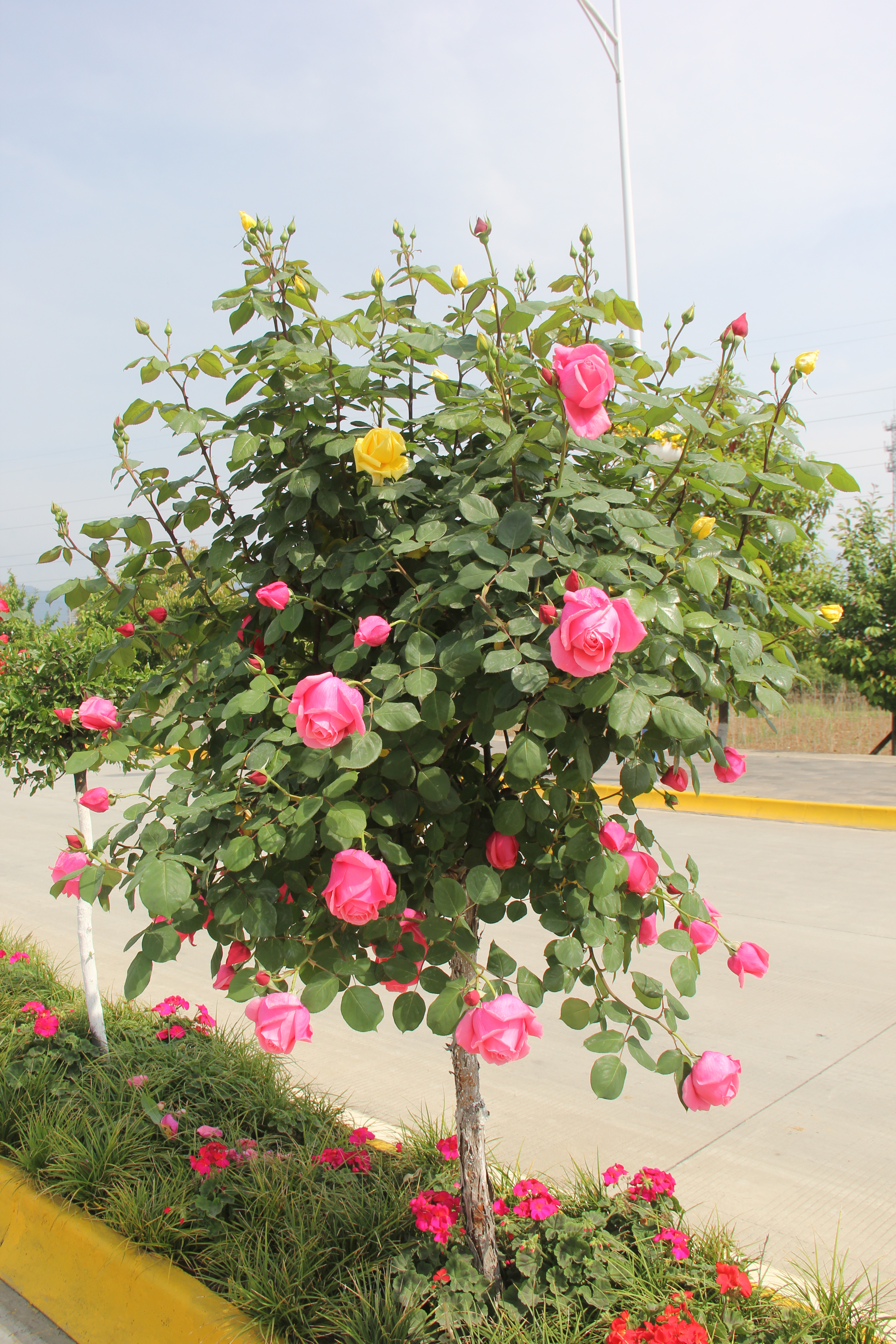 �������h䓡������h�������