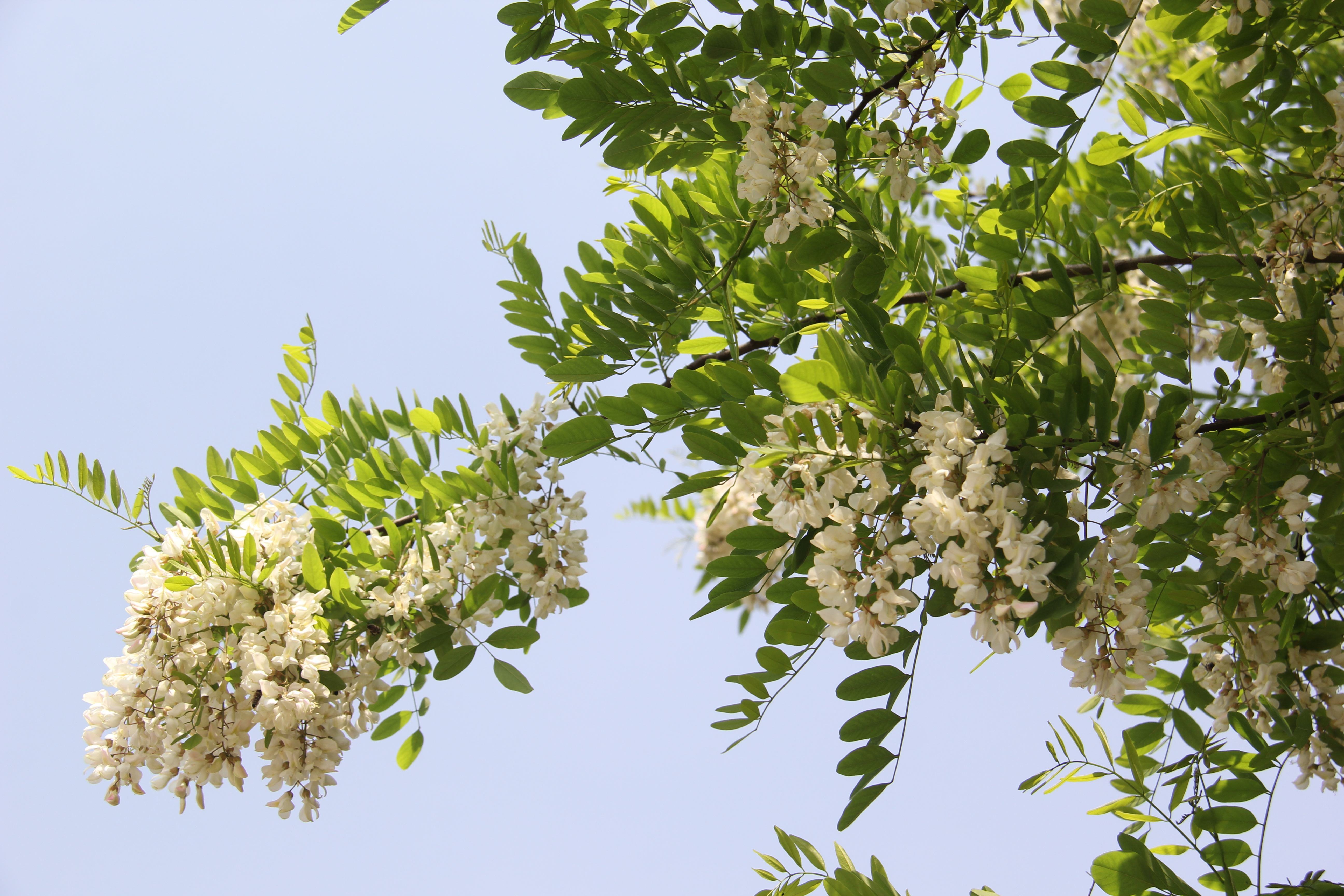 �������h䓡������h�������