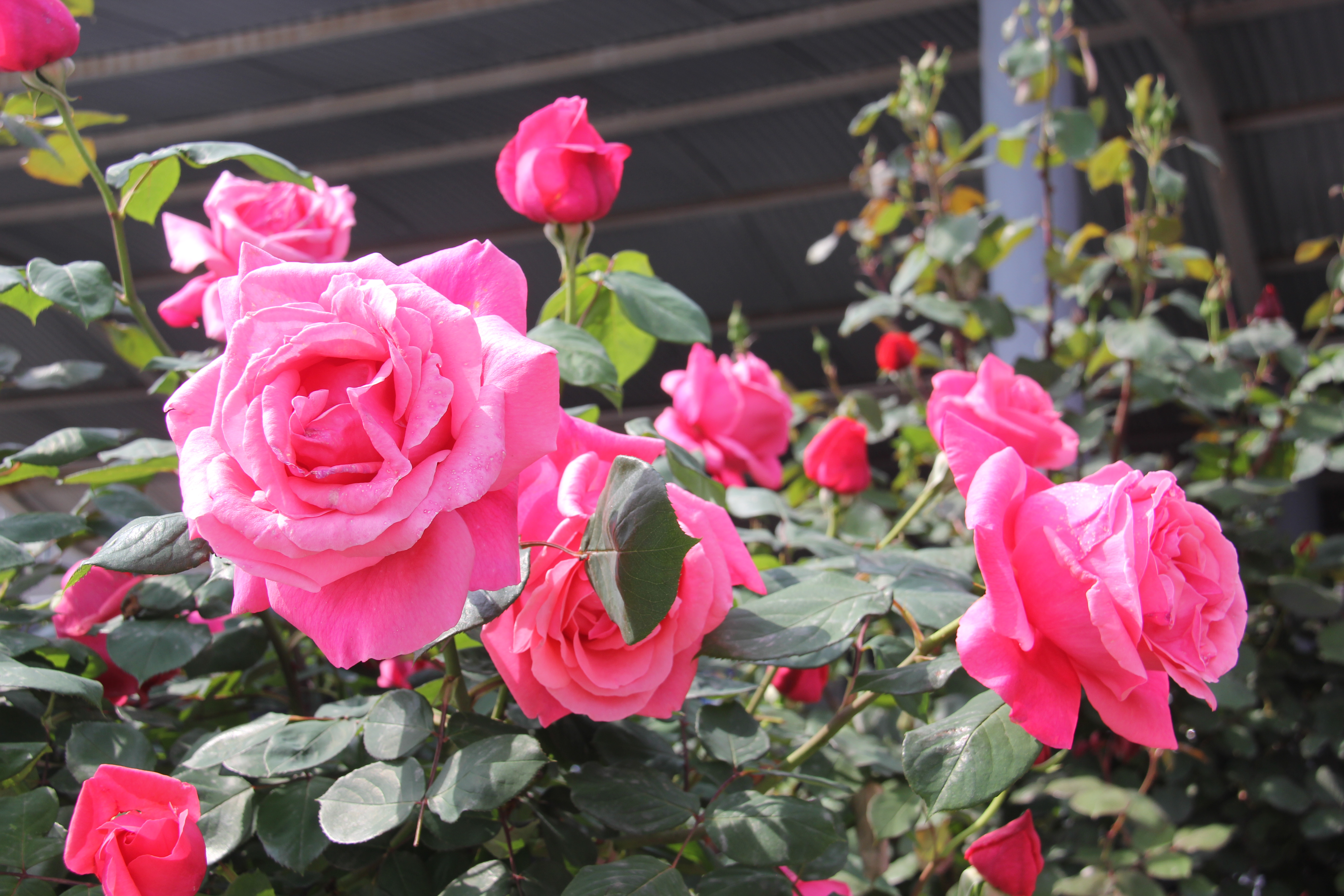 �������h䓡������h�������